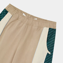 LS-PAN-ARC-423D