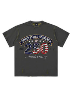 Rhinestone 250 Ripped Washed T-Shirt - Gris