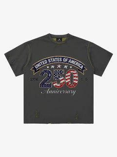 Rhinestone 250 Ripped Washed T-Shirt - Gris
