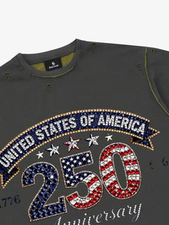 Rhinestone 250 Ripped Washed T-Shirt - Gris